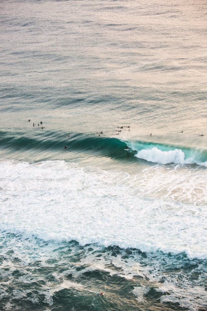 Surfing-and-remote-work-tips