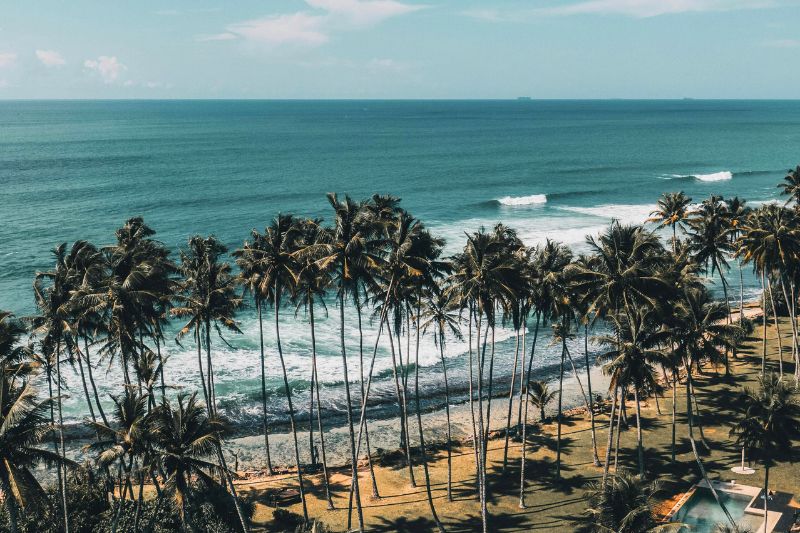 5 Surfing Destinations for Digital Nomads in Sri Lanka