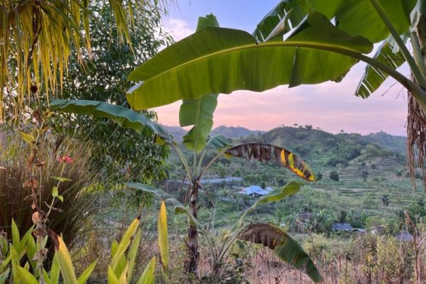 Top-surfing-destinations-for-digital-nomads-indonesia
