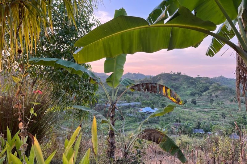 Top-surfing-destinations-for-digital-nomads-indonesia