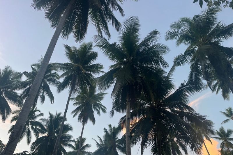 a-guide-to-balancing-surf-and-remote-work