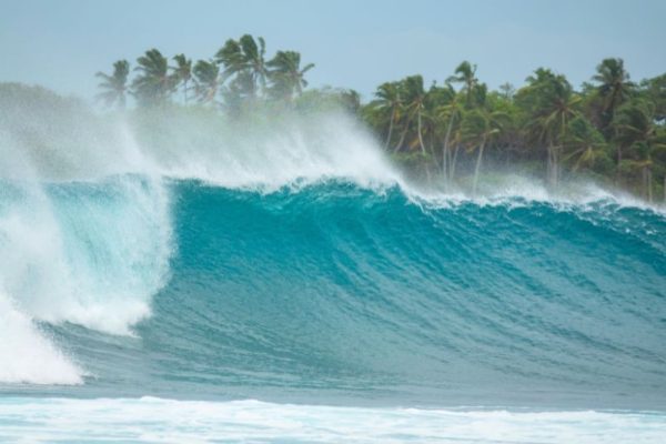 Mastering-Surf-Forecasts