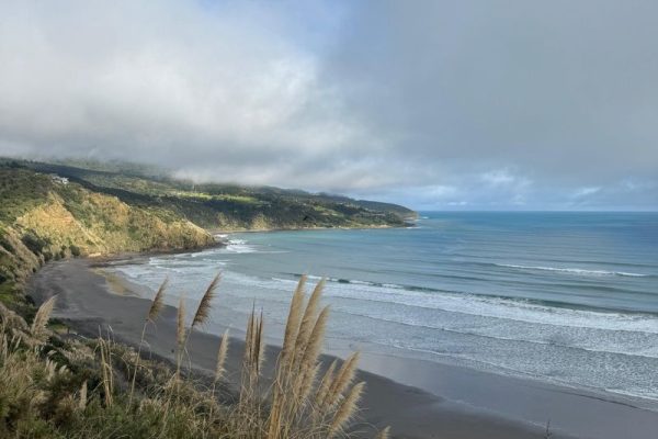 Raglan-surf-spot