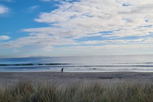 surf-beach-mount-maunganui
